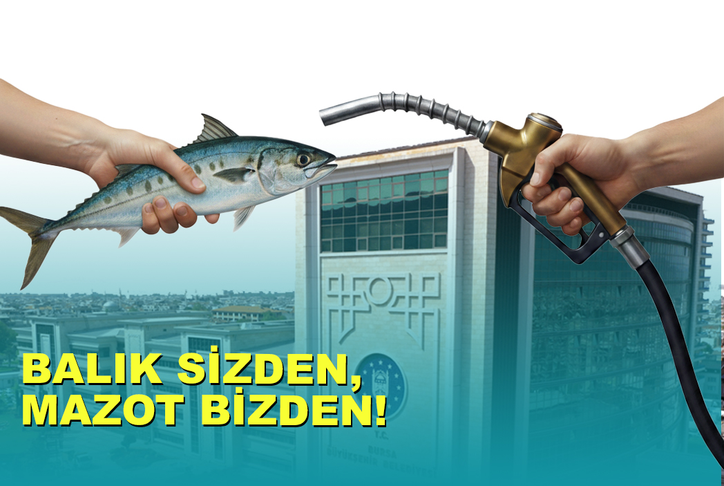 BALIK SİZDEN,  MAZOT BİZDEN!