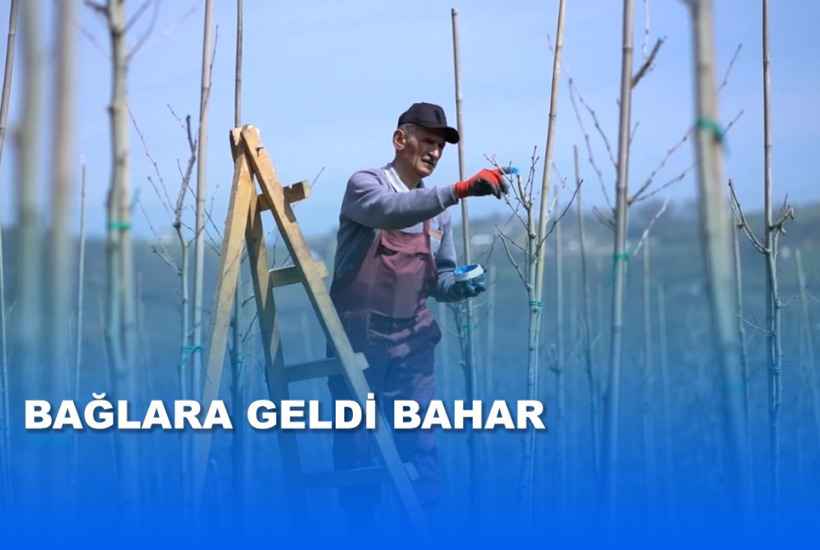 BAĞLARA GELDİ BAHAR